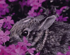 395 грн  Живопис за номерами VA-0449 Набір для розпису по номерах Кролик у квітах