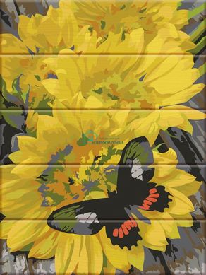 435 грн  Живопис за номерами ASW077 Розмальовка за номерами на дерев'яній основі Метелик на квітах