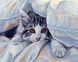 DM-143 Набор алмазной живописи Кошка под одеялом