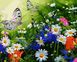 VP1254 Картина-раскраска по номерам Цветочное поле и бабочки