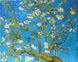 VP593 Раскраска по номерам Цветущие ветки миндаля. худ. Винсент Ван Гог