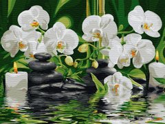 329 грн  Живопись по номерам BK-GX29693 Картина для рисования по номерам Спокойствие орхидей