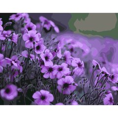 315 грн  Живопис за номерами Набір для розпису по номерах Фіолетові квіти,40х50 см, GS044