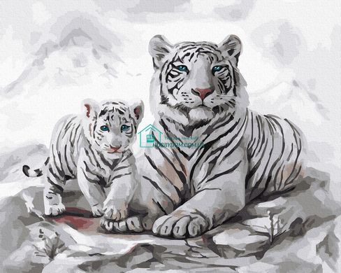 329 грн  Живопись по номерам BK-GX32841 Набор для рисования картины по номерам Белые тигры