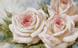 АЛМР-061 Набор алмазной мозаики на подрамнике Нежные розы, 40*65 см
