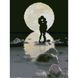 Алмазна картина HX186 У сяйві місяця, розміром 30х40 см
