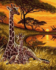 249 грн  Живопись по номерам BK-GX32559 Картина-раскраска по номерам Маленький жираф