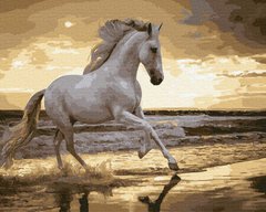 279 грн  Живопись по номерам BK-GX30903 Набор живописи по номерам Ретивый конь