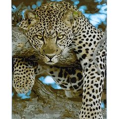 395 грн  Живопис за номерами Набір для розпису по номерах Войовничий леопард,40х50 см, SY6881