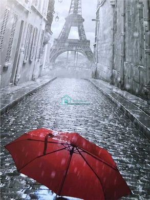 295 грн  Живопись по номерам 11207-AC Набор-раскраска по номерам Зонтик в Париже