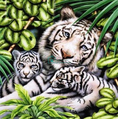 650 грн  Діамантова мозаїка DMP-283 Набір діамантового живопису на підрамнику Біла тигриця з тигрятами