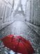 11207-AC Набор-раскраска по номерам Зонтик в Париже, Без коробки