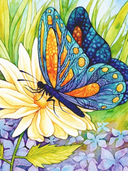 640 грн  Алмазная мозаика DMP-035 Набор алмазной живописи на подрамнике Бабочка на цветке