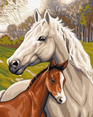 329 грн  Живопис за номерами BK-GX33101 Набір для малювання картини за номерами Сім'я коней