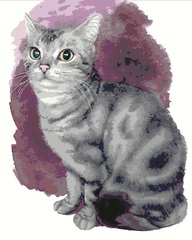 329 грн  Живопись по номерам KH4187 Картина для рисования по номерам Маленький котенок