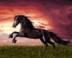 459 грн  Живопись по номерам VP1257 Картина-раскраска по номерам Прыжок лошади