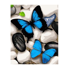 395 грн  Живопись по номерам VA-2835 Набор для рисования по номерам Синие бабочки