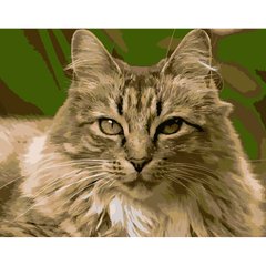 315 грн  Живопись по номерам Набор для росписи по номерам Гордая кошка, 40х50 см, DY186