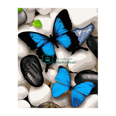 395 грн  Живопис за номерами VA-2835 Набір для розпису по номерах Сині метелики