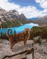 329 грн  Живопис за номерами BK-GX35753 Набір для малювання картини за номерами Кіт оцелот серед гір