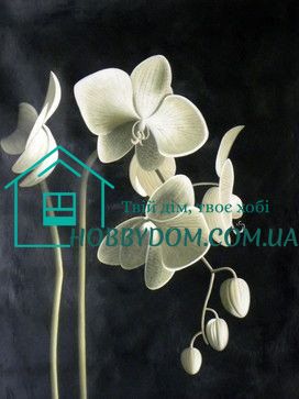 900 грн  Алмазная мозаика DMP-115 Набор алмазной живописи на подрамнике Цвет орхидеи