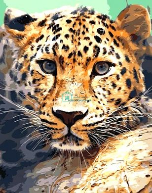 610 грн  Алмазная мозаика TN947 Набор алмазной мозаики на подрамнике Взгляд леопарда