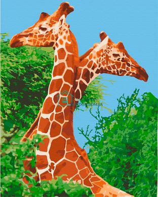 295 грн  Живопис за номерами 11613-AC Набір-розмальовка за номерами Пара жирафів