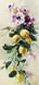 КДИ-1535 Набор алмазной вышивки Ветвь лимона. Художник Katarina Kline