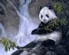VP475 Раскраска по номерам Панда с бамбуком Худ Лаура Марк-Файнберг