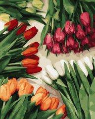 329 грн  Живопись по номерам BK-GX37544 Набор для рисования картины по номерам Разноцветные тюльпаны