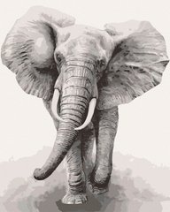 295 грн  Живопис за номерами 11629-AC Набір-розмальовка за номерами Африканський слон