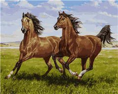 395 грн  Живопись по номерам VA-1495 Набор для рисования по номерам Вольные лошади