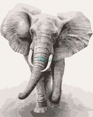 295 грн  Живопись по номерам 11629-AC Набор-раскраска по номерам Африканский слон
