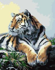 329 грн  Живопись по номерам КНО2460 Раскраска по номерам Гордый тигр