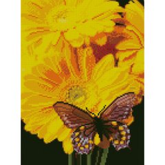 557 грн  Діамантова мозаїка Алмазна картина HX190 Метелик на соняшнику, розміром 30х40 см