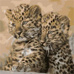 255 грн  Живопис за номерами AS1097 Набір розмальовка за номерами Маленькі леопарди