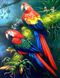 TN531 Набор алмазной мозаики на подрамнике Яркая пара попугаев