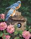 DMP-117 Набор алмазной живописи на подрамнике Птичий дом в пионах