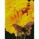 Алмазна картина HX190 Метелик на соняшнику, розміром 30х40 см