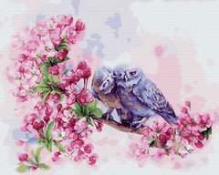329 грн  Живопис за номерами BK-GX33240 Набір для малювання картини за номерами Закохані сови