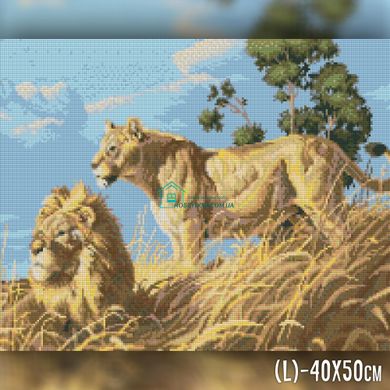 650 грн  Алмазная мозаика TWD20028 Набор алмазной вышивки Лев с львицей