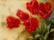 VР536 Розмальовка за номерами Букет тюльпанів худ Левашов Ігор