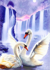 1 300 грн  Алмазная мозаика DM-047 Набор алмазной живописи Пара лебедей