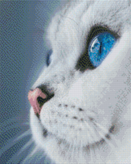 790 грн  Діамантова мозаїка АЛМ-010 Набір діамантової мозаїки Блакитноока. Кішка, 40*50 см