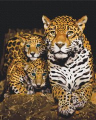 329 грн  Живопись по номерам BS52791 Картина по номерам Ночные леопарды 40 х 50 см