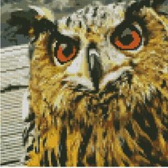 512 грн  Діамантова мозаїка Набір для творчості алмазна картина Добра сова, 30х30 см CA-0050