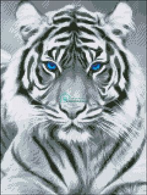 630 грн  Алмазная мозаика Алмазная мозаика Белый тигр 30х40 АМС-143