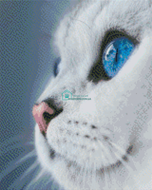790 грн  Діамантова мозаїка АЛМ-010 Набір діамантової мозаїки Блакитноока. Кішка, 40*50 см