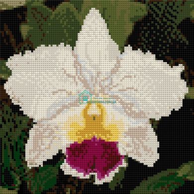 350 грн  Алмазная мозаика КДИ-0004 Набор алмазной вышивки Белая орхидея