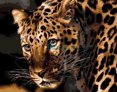 396 грн  Живопис за номерами MR-Q694 Розмальовка за номерами Насторожений леопард